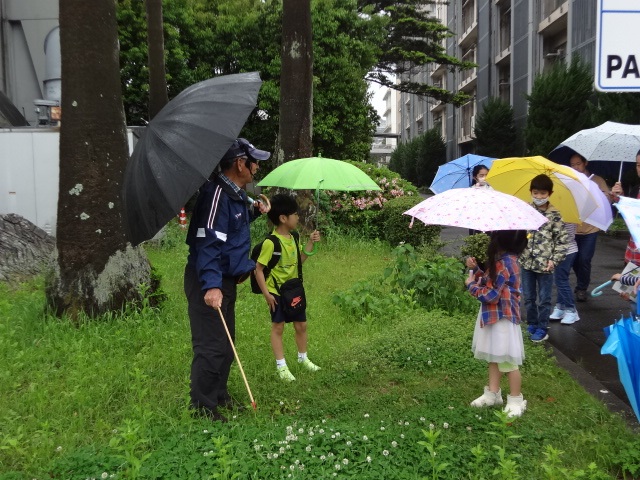 長崎大学パスポート会員限定講演会「春の植物観察会」を実施しました