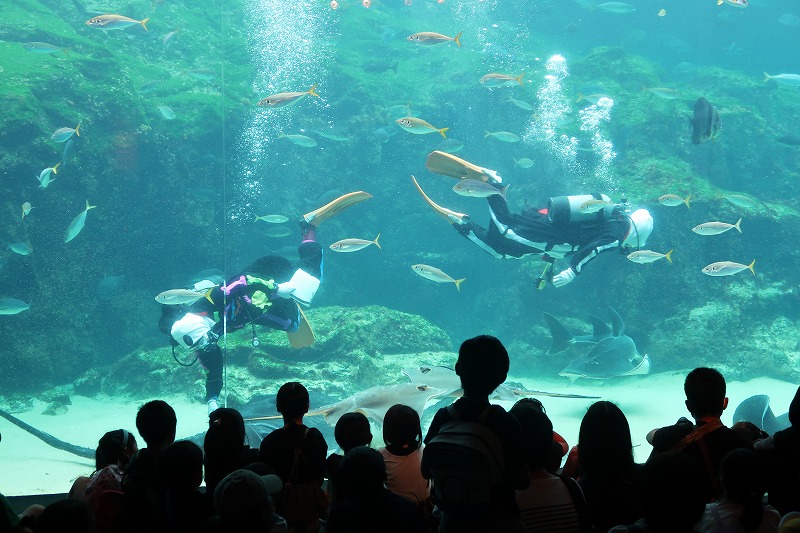 長崎大学パスポート】会員限定イベント「九十九島水族館海きららバック